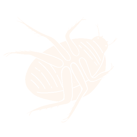 Flip Beetle Light